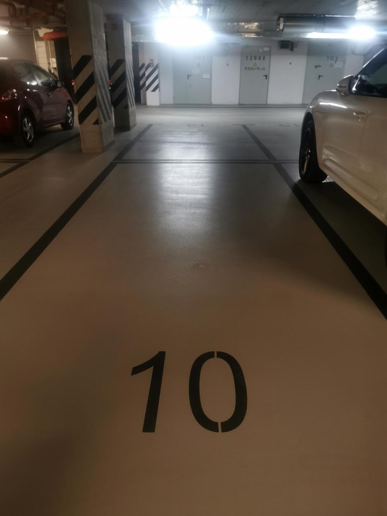 Blue Rooster Apartment - Free Parking Space Varsóvia Exterior foto